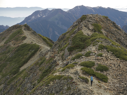 Ridge