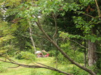 ca050903-03.jpg