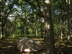 cm050920-16.jpg