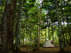 co050924-09.jpg