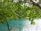 co050925-12.jpg