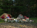 co050926-09.jpg