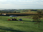 ct050924-11.jpg