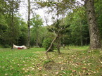 cu050917-30.jpg