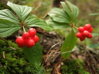 mtm050925-16.jpg