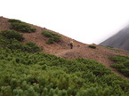 mtm050925-27.jpg