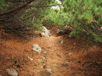 mtm050925-65.jpg