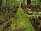 mtm050925-84.jpg
