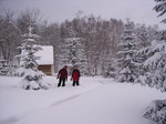 snowxmas01.jpg