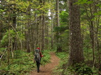 trk050925-05.jpg